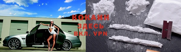 гашик Новозыбков
