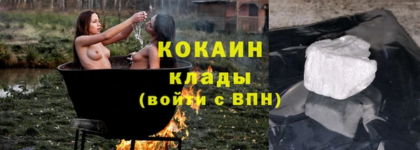 винт Болотное