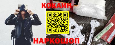 шишки Дубна