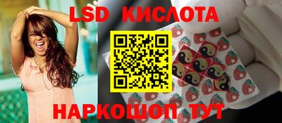 гидра Донской