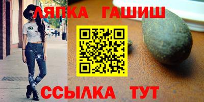 шишки Дубна