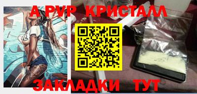 шишки Дубна